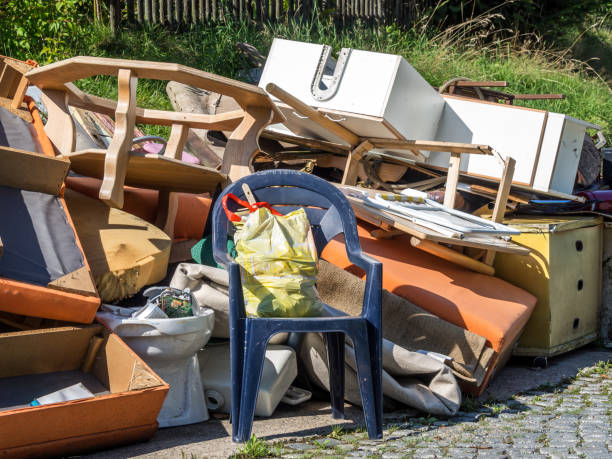 Best Moving and Downsizing Cleanouts  in Lakeland, MN