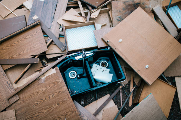 Best Recycling Services for Junk  in Lakeland, MN