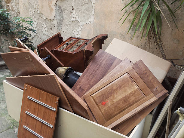 Best Attic Cleanout  in Lakeland, MN